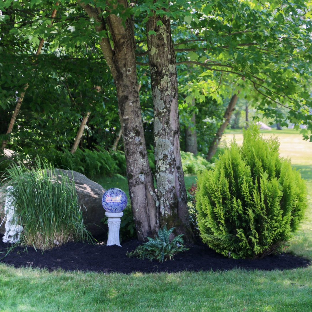 Tree and shrub installation in Bolton & Stafford, CT