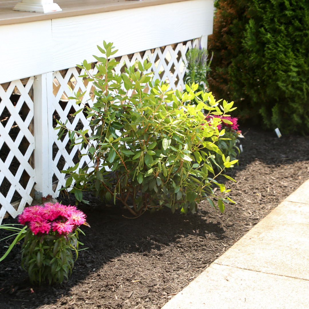 Garden and flower bed installation in Coventry & Glastonbury, CT