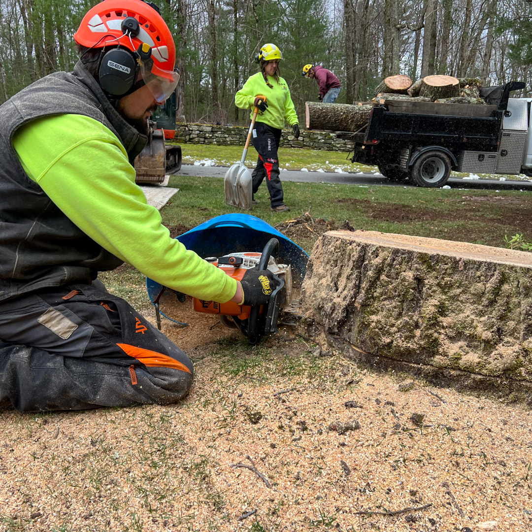 Stump grinding and excavation in Manchester & Coventry, CT